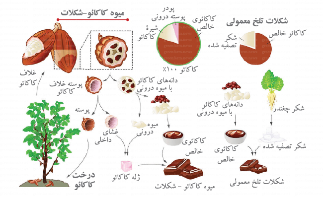 شکلاتی با تمام خواص کاکائو 2
