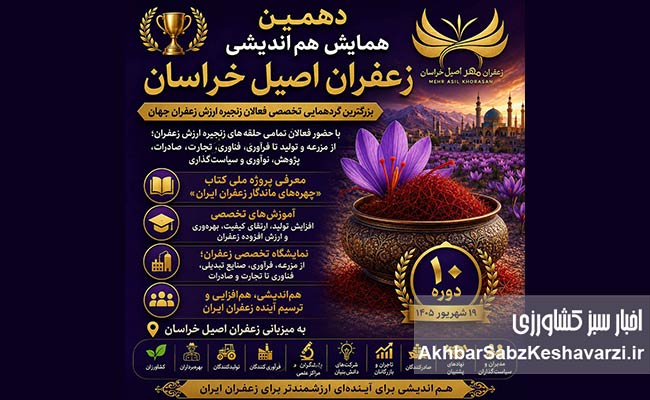 توجه-به-زعفران،-توجه-به-هویت-ملی-کشور