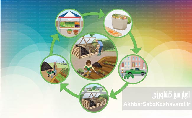 ۳۰-درصد-غذا-دور-ریخته-می‌شود؛-راه-نجات-سفره-و-محیط‌زیست-چیست؟-2