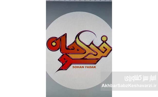سوهان-فدک؛-سالم،-مقوی-و-جذاب-از-دل-زرند-کرمان1