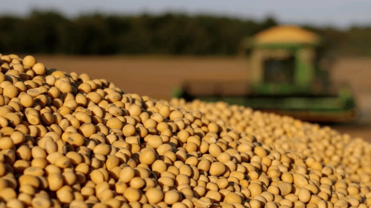 Brazil soybean acreage to increase in year 2023-24 after five spectacular successive seasons: USDA - Milling Middle East & Africa Magazine