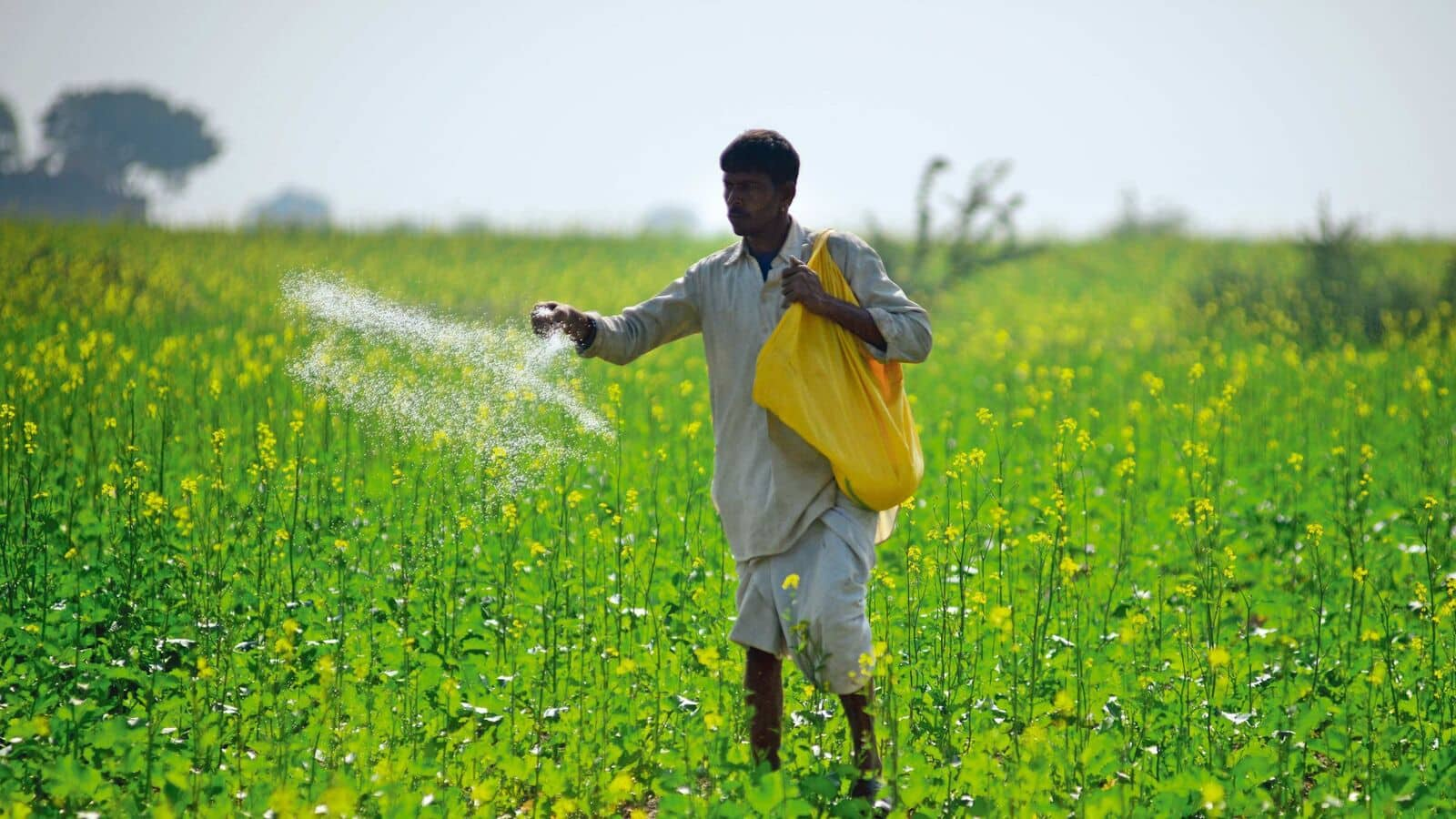 India to secure raw material supplies to make fertilizers | Mint