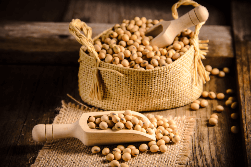 The Best Japanese Beans and Soybean Snacks - Sakuraco