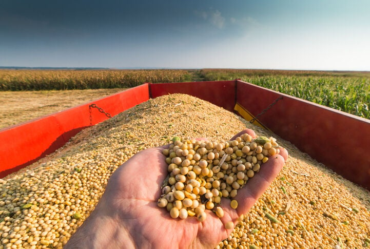 2022 Soybean Acres Could Break Record | Field Crop News | lancasterfarming.com