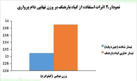 شركت طلای طبیعت کوهرنگ