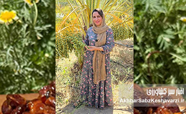 بانوی-بوشهری-تولیدکننده-خرمااهای-مسیر-تولید