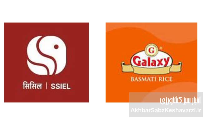 پشت‌پرده-واردات-برنج-هندی-و-معمای-پرونده-۲۴-همتی1