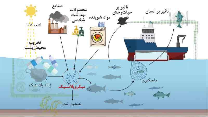 وضعیت جهانی آبزیان