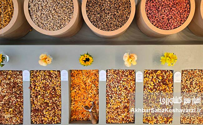 فروشگاه-جوغن7