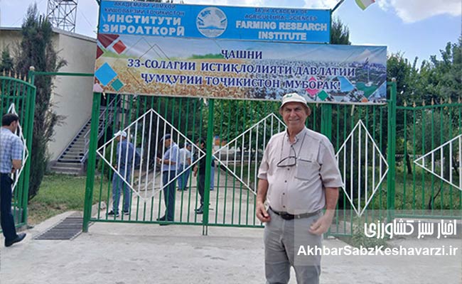 مزارع-بی-خاک-ورزی-در-تاجیکستان4
