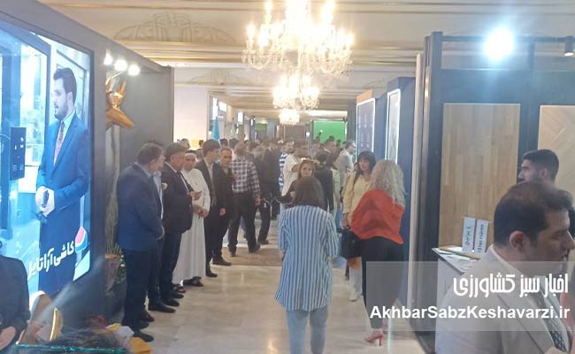 خانه-رویایی-در-معرض-دید-علاقمندان-صنعت-ساختمان-قرار-گرفت6