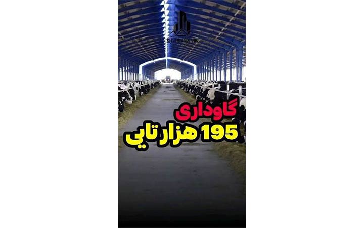 احداث-دامداری-صنعتی-در-قلب-صحرای-سوزان4