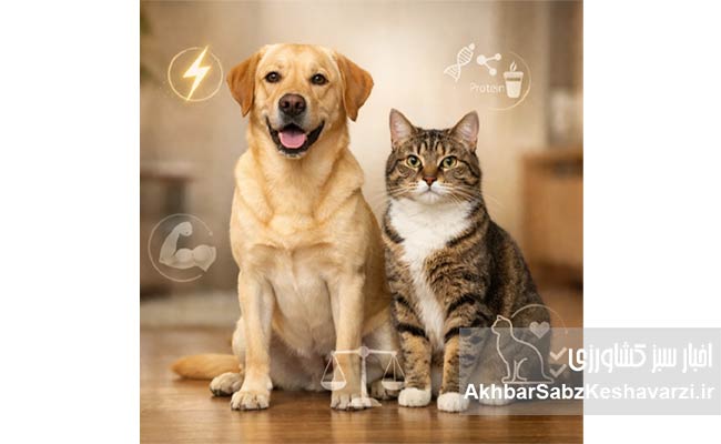 سگ-و-گربه-شما-دقیقاً-چه-تغذیه‌ای-نیاز-دارند؟-.jpg-1