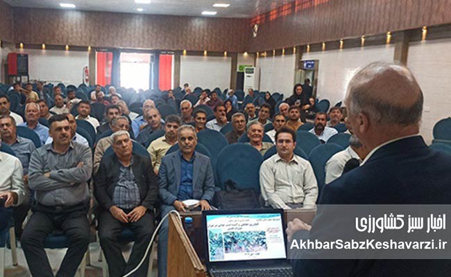 کارگاه-آموزشی-«کشاورزی-سازگار-با-اقلیم»-در-شهرستان-کلاله-گلستان+ویدئو