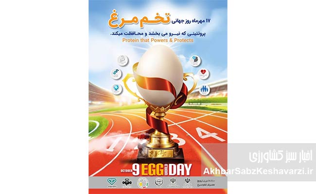 گردش-مالی-روزانه-۳-همتی-صنعت-تخم‌مرغ