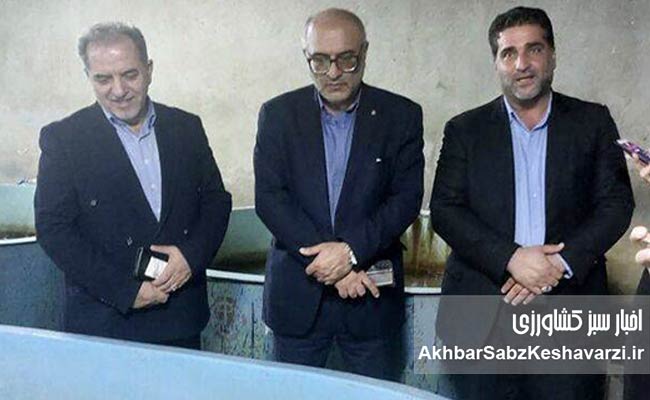 توسعه-پرورش-ماهیان-خاویاری-نیازمند-حمایت-مالی-دولت