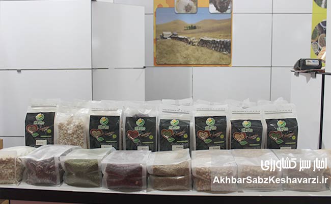 از-دل-خاک-تا-کندوی-عسل؛-کلان-آذر،-نامی-برای-اعتماد-و-سلامت-سفره-ایرانی