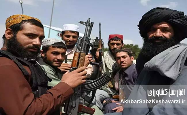 خشخاش-و-افدرا-در-قلب-اقتصاد-سیاسی-مرزهای-شرقی-2