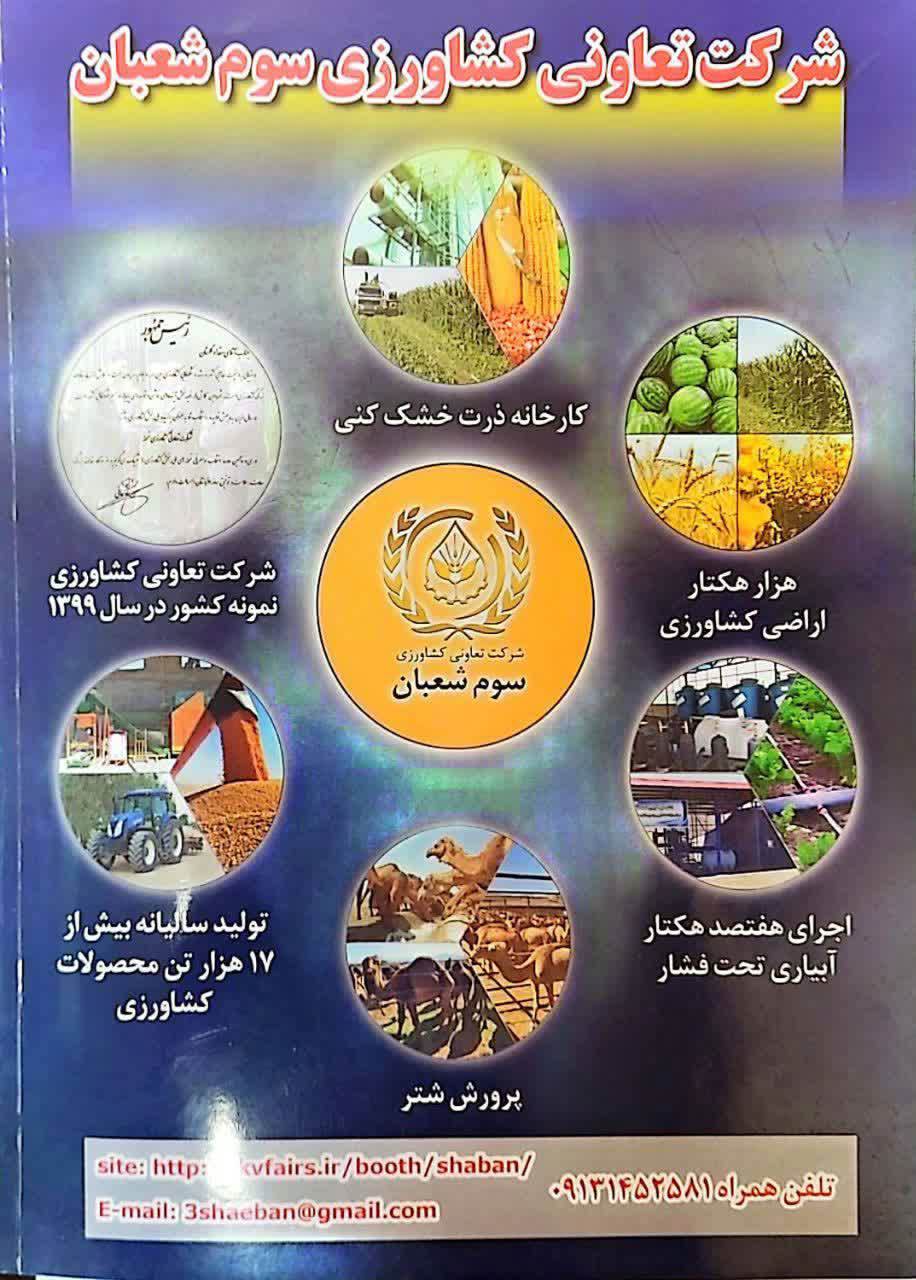 شرکت-تعاونی-سوم-شعبان-1