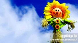 شادی در روزهای سخت؛ ۵ مهارت علمی برای فرار از مثبت‌اندیشی سمی

