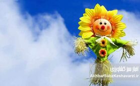 شادی در روزهای سخت؛ ۵ مهارت علمی برای فرار از مثبت‌اندیشی سمی

