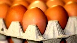 صادرات تخم‌مرغ از مرز ۱۴۰ هزار تن گذشت