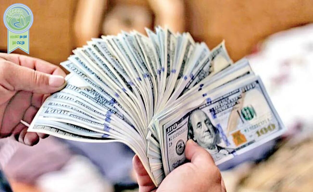 قیمت دلار و یورو امروز یکشنبه ۹ اردیبهشت ۱۴۰۳+ جدول

