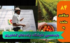 افتراق میان تولیدکننده و واردکننده، مانع جامعیت

