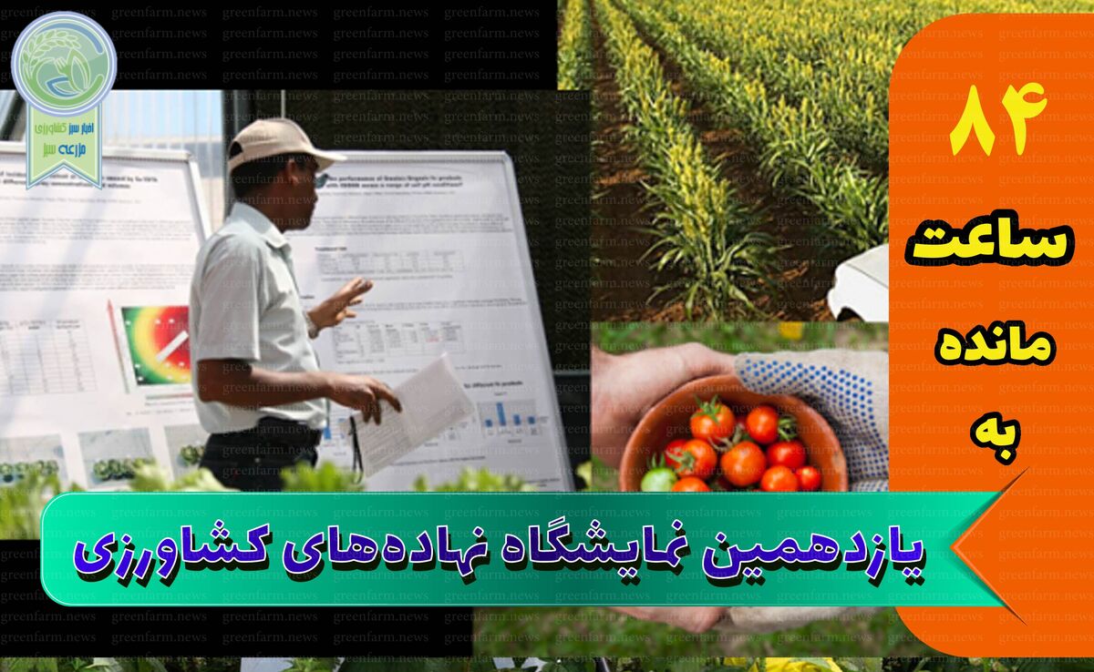 افتراق میان تولیدکننده و واردکننده، مانع جامعیت

