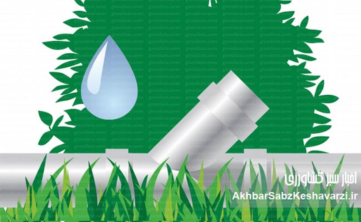 مدیریت مصرف آب در کشت تابستانه