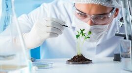آینده سیستم های کشاورزی با کمک بیوتکنولوژی