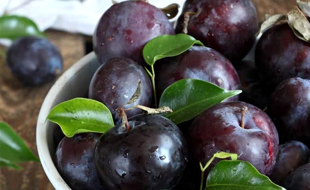 همه چیز درباره آلو سیاهرنگ

