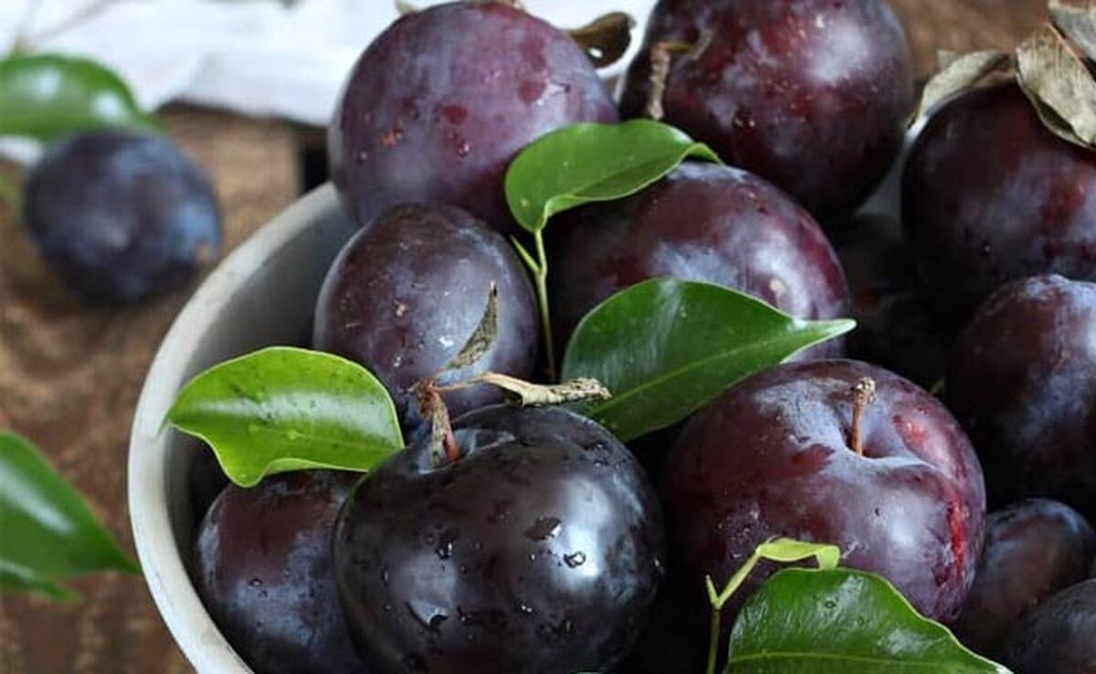 همه چیز درباره آلو سیاهرنگ

