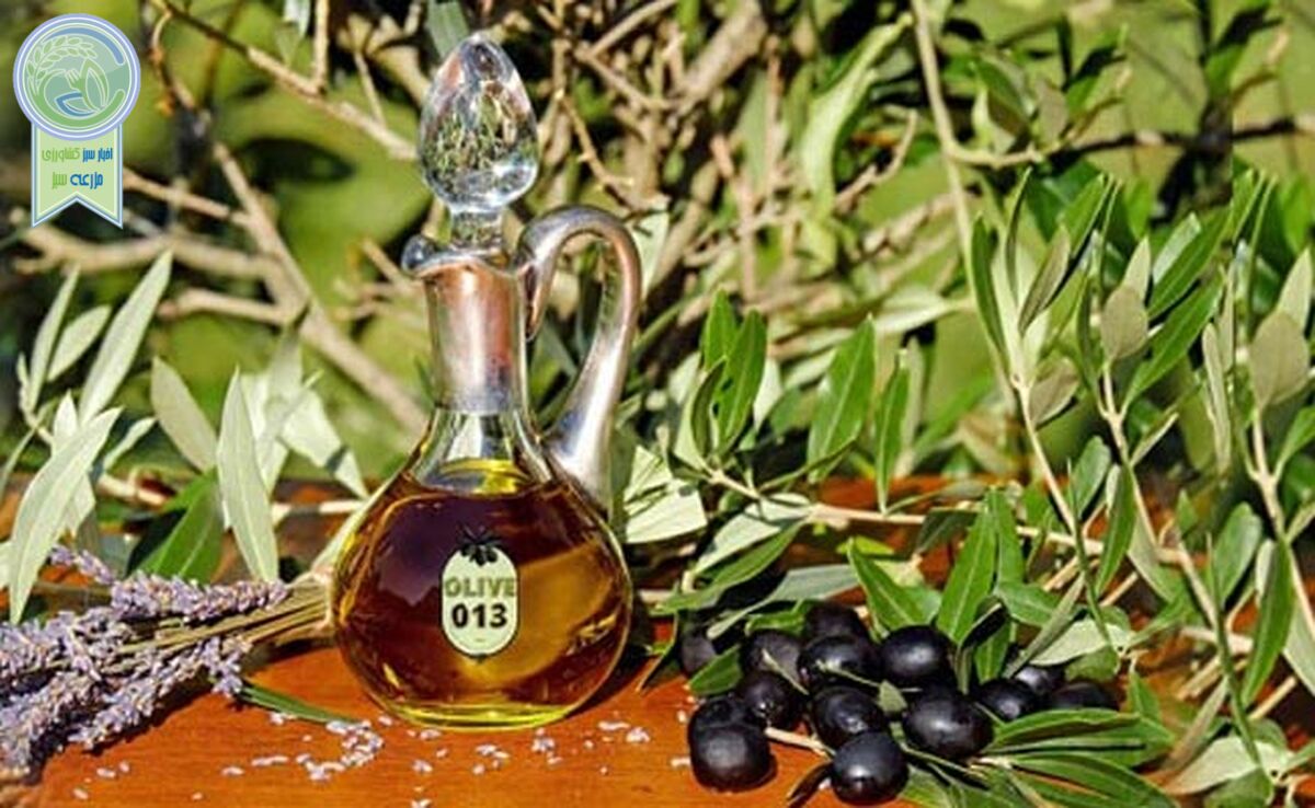 تلاش برای برندسازی روغن زیتون

