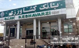 تسهیلات کشاورزی بانک کشاورزی: ستون فقرات امنیت غذایی ایران!