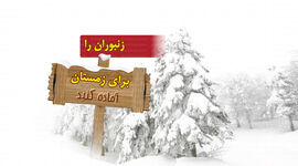 زنبوران را برای زمستان آماده کنید

