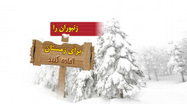زنبوران را برای زمستان آماده کنید

