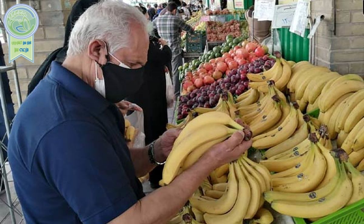 کمبودی در عرضه میوه و سبزی ماه رمضان نداریم

