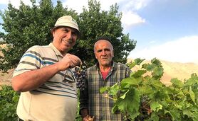 درد دل یک باغدار زحمت‌کش گایکان الیگودرز+ ویدئو

