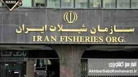 اهمیت حیاتی حوزه شیلات و ظرفیت تشکیل نهاد مستقل در ساختار وزارتخانه‌ای