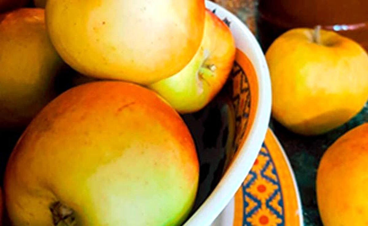 این داستان پخت انواع شیره

