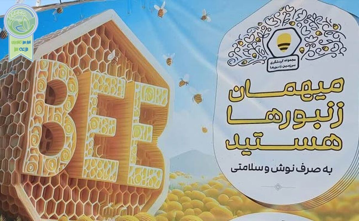 «سرزمین زنبورها» مجموعه‌ای با اهداف ملی

