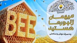 «سرزمین زنبورها» مجموعه‌ای با اهداف ملی

