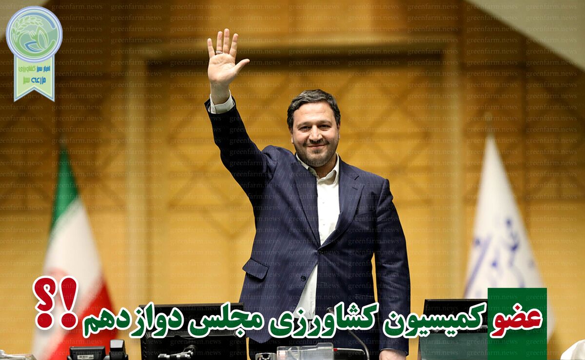محمد رشیدی منتخب مردم کرمانشاه در مجلس شد

