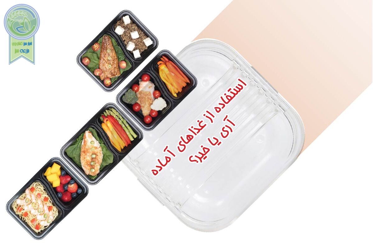 استفاده از غذاهای آماده آری یا خیر؟

