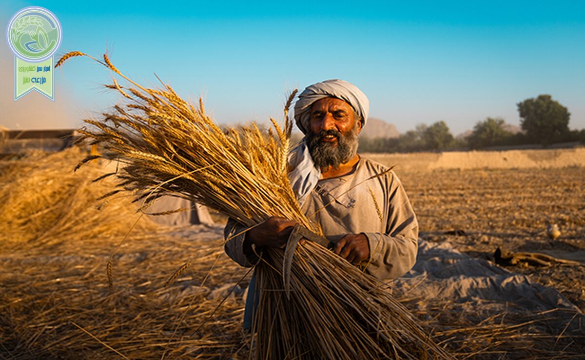 ابتکار عمل ۱۰ میلیون پوندی فائو و بریتانیا