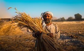 ابتکار عمل ۱۰ میلیون پوندی فائو و بریتانیا