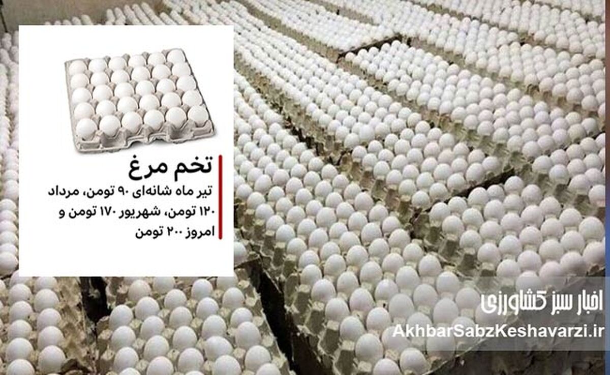 پرواز بی‌پایان قیمت تخم‌مرغ؛ تدبیر وزیر یا نتیجه‌ی رانت و قومیت‌گرایی؟