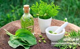توصیه‌های طب سنتی ایرانی برای کاهش استرس؛ راهکارهای طبیعی و اثربخش