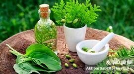 توصیه‌های طب سنتی ایرانی برای کاهش استرس؛ راهکارهای طبیعی و اثربخش